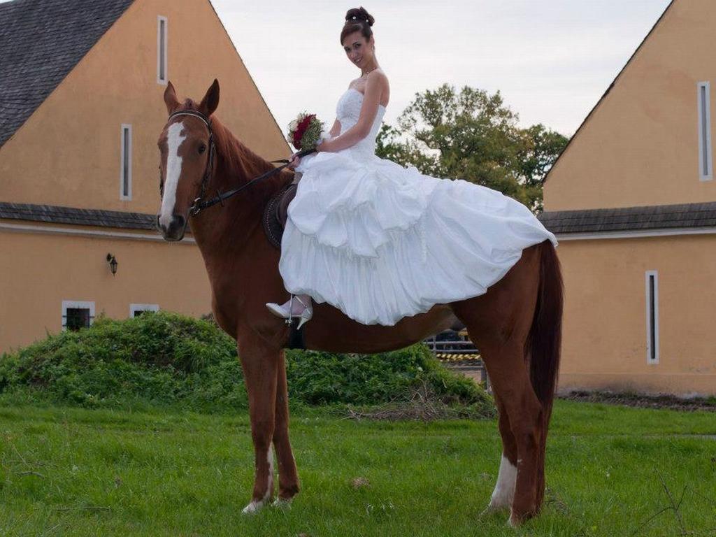 Dvur Olsiny -Hotel And Horse-Riding Karviná Dış mekan fotoğraf