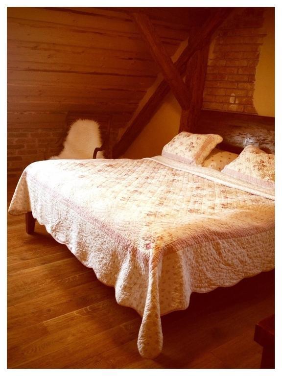 Dvur Olsiny -Hotel And Horse-Riding Karviná Oda fotoğraf